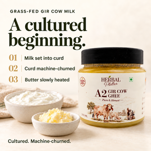 Herbal Platter Gir Cow Ghee cultured-curd and machine-churned preparation